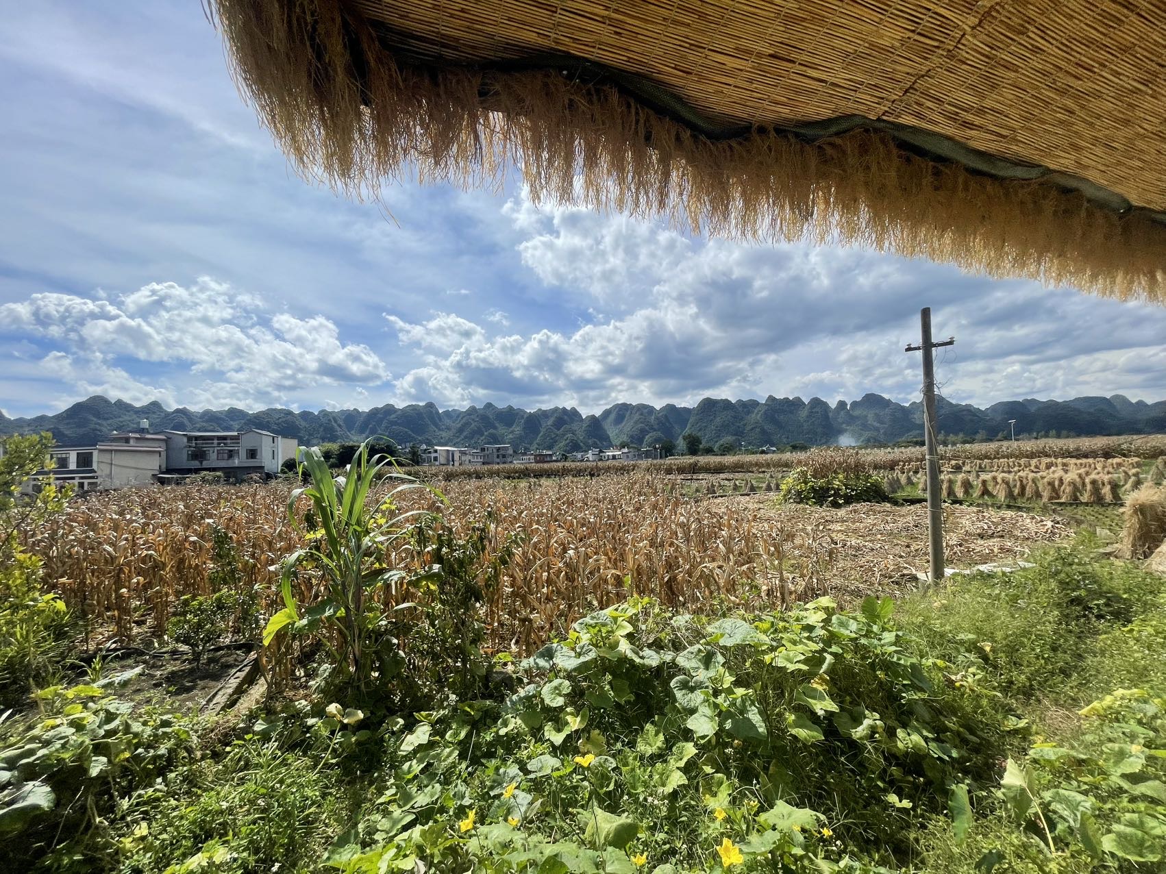 房源图片4