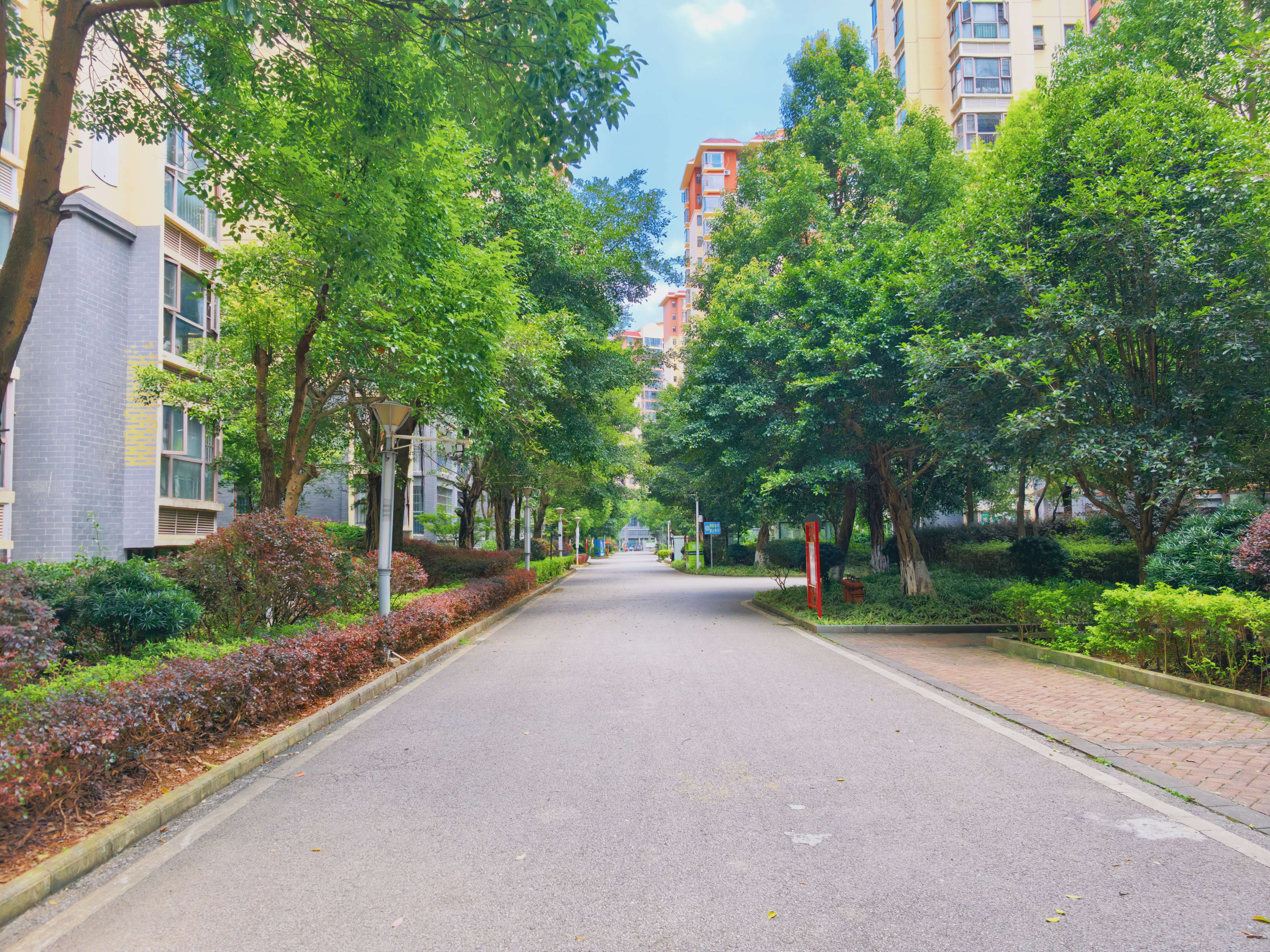 3室2厅1卫